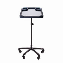 Charger l'image dans la galerie, Braids & Freckles • Magnetic Colorist Small Tray • Black