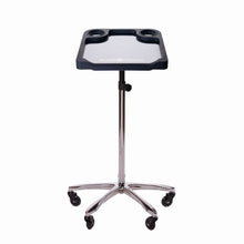 Load image into Gallery viewer, Braids & Freckles • Magnetic Colorist Small Tray • Chrome