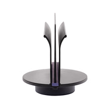 Charger l'image dans la galerie, Braids & Freckles • Ultimate Colorist Tray Set