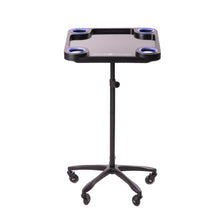 Load image into Gallery viewer, Braids & Freckles • Magnetic Colorist Tray • Black