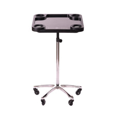 Загрузить изображение в средство просмотра галереи, Braids & Freckles • Magnetic Colorist Tray • Chrome